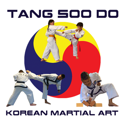 Welkom bij Tang Soo Do Amstelveen