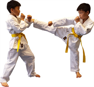 Tang Soo Do is een Koreaanse zelfverdedigingsmethode