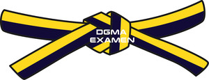 Gekleurde banden examens bij DGMA